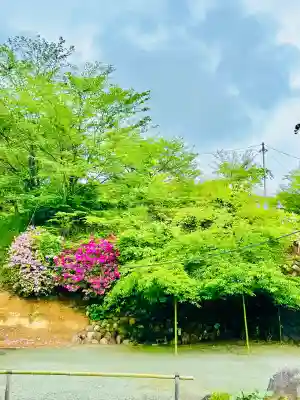 長谷寺の{uncategorized: "未分類", other: "その他", undefined: "問題あり", building: "その他建物", grave: "お墓", sacred_gate: "鳥居", guardian: "狛犬", statue: "像", buddha: "仏像", history: "歴史", nature: "自然", garden: "庭園", animal: "動物", pagoda: "塔", temizu: "手水舎", mountain_gate: "山門・神門", sanctuary: "本殿・本堂", subordinate: "末社・摂社", art: "芸術", scenery: "景色", jizo: "地蔵", ema: "絵馬", goshuin: "御朱印", omikuji: "おみくじ", items: "授与品その他", amulet: "お守り", goshuincho: "御朱印帳", eats: "食事", festival: "お祭り", votive_dance: "神楽", shichigosan: "七五三参", wedding: "結婚式", experience: "体験その他", initially: "初詣", around: "周辺", anti_infection: "感染症対策"}