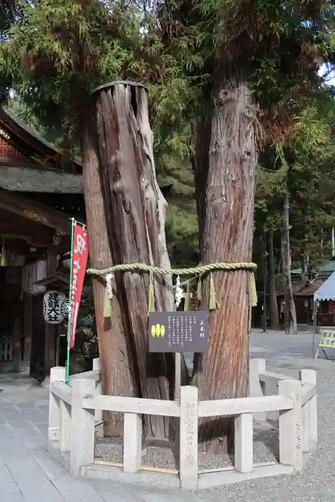 建部大社(滋賀県)