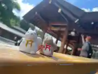 北海道神宮(北海道)