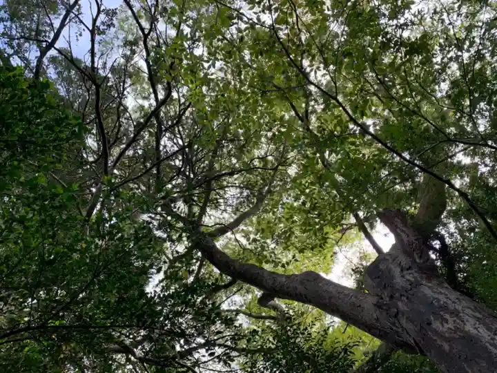 白山神社の自然