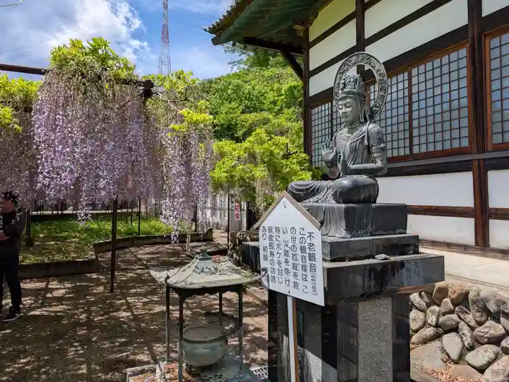 長泉寺(埼玉県)
