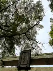 春日神社(奈良県)