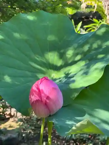 伊勢の国 四天王寺(三重県)