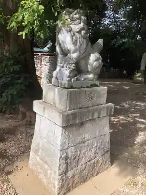 岩槻久伊豆神社の狛犬