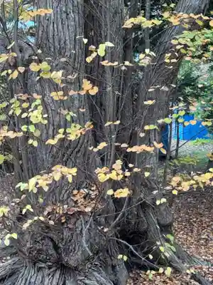 栗沢神社(北海道)