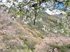 山家神社の自然