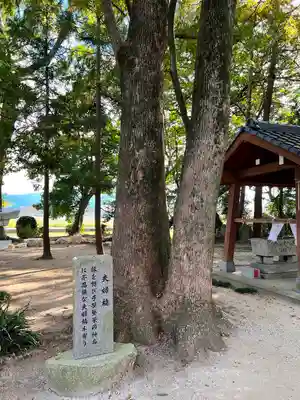 志登神社(福岡県)
