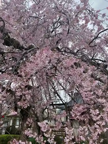 洞昌院(神奈川県)