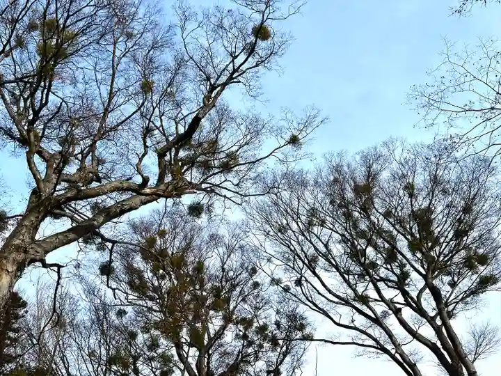 小諸八幡宮(長野県)