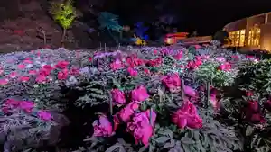 金蛇水神社(宮城県)(2023年04月29日(土) 16時54分57秒投稿)