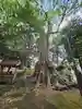 沓掛香取神社(茨城県)