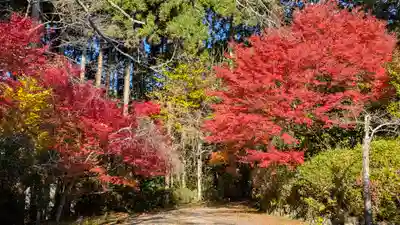 常照寺(京都府)