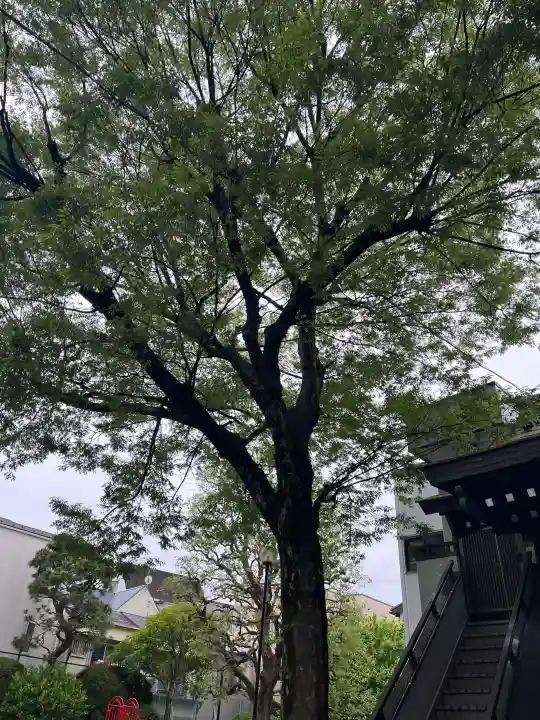 甘酒稲荷神社の{uncategorized: "未分類", other: "その他", undefined: "問題あり", building: "その他建物", grave: "お墓", sacred_gate: "鳥居", guardian: "狛犬", statue: "像", buddha: "仏像", history: "歴史", nature: "自然", garden: "庭園", animal: "動物", pagoda: "塔", temizu: "手水舎", mountain_gate: "山門・神門", sanctuary: "本殿・本堂", subordinate: "末社・摂社", art: "芸術", scenery: "景色", jizo: "地蔵", ema: "絵馬", goshuin: "御朱印", omikuji: "おみくじ", items: "授与品その他", amulet: "お守り", goshuincho: "御朱印帳", eats: "食事", festival: "お祭り", votive_dance: "神楽", shichigosan: "七五三参", wedding: "結婚式", experience: "体験その他", initially: "初詣", around: "周辺", anti_infection: "感染症対策"}