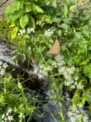 諏訪大社上社前宮(長野県)