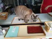 新川皇大神社の動物