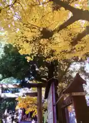 青山熊野神社(東京都)