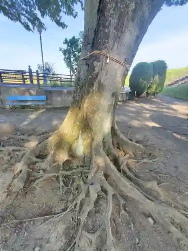 虚空蔵尊(群馬県)