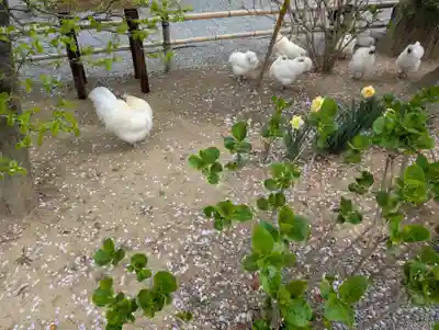 高屋敷稲荷神社(福島県)