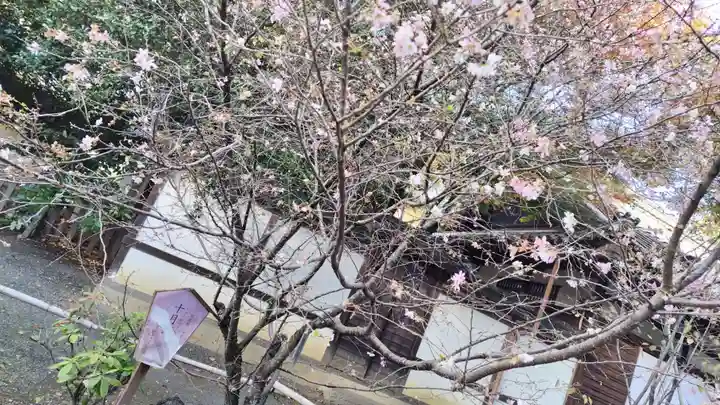 平野神社(京都府)