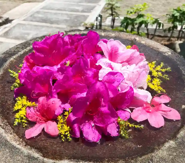 真言宗 善通寺派 薬王寺の手水舎