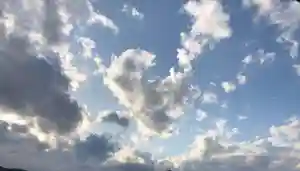 石内のお大師さん 金剛院の自然(2023年06月28日(水) 21時33分11秒投稿)