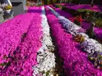 寿量山 速成寺の自然