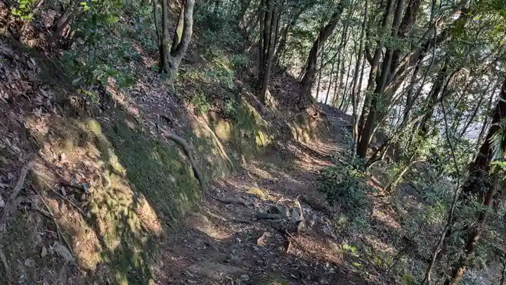 岩崎神社の自然