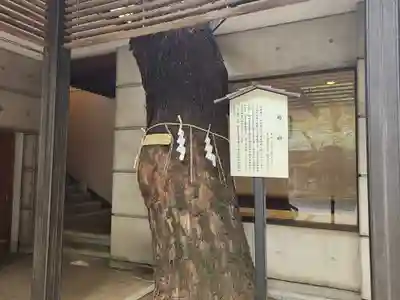 乃木神社(東京都)