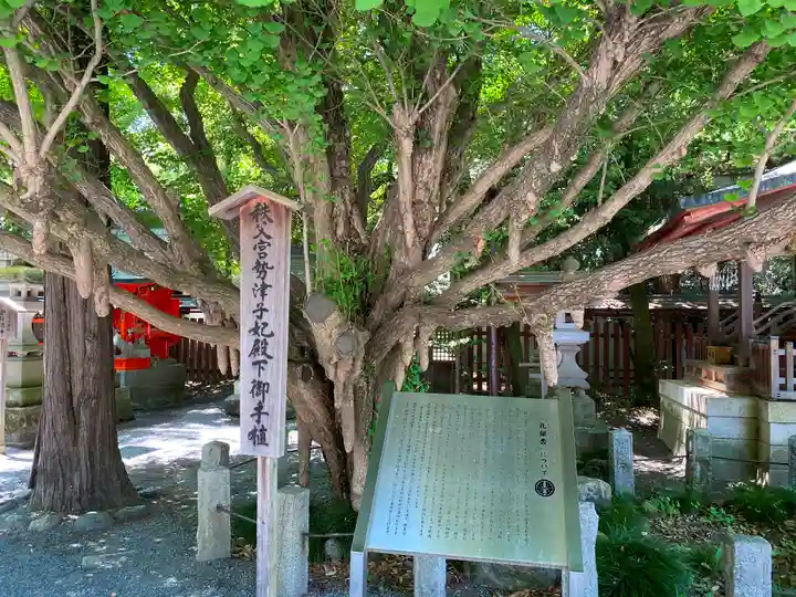 秩父神社の自然