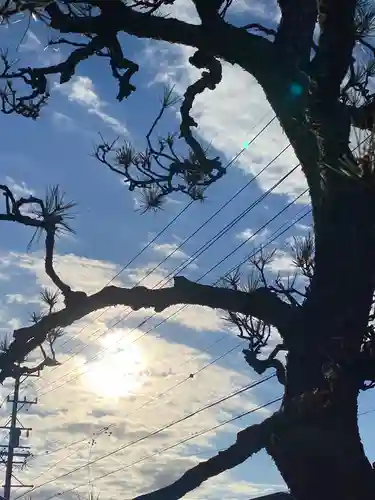 西方山極楽寺の自然