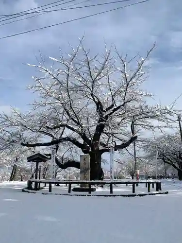 糠部神社(青森県)