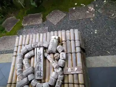 東林院(京都府)