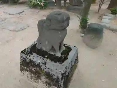 新川神社の狛犬