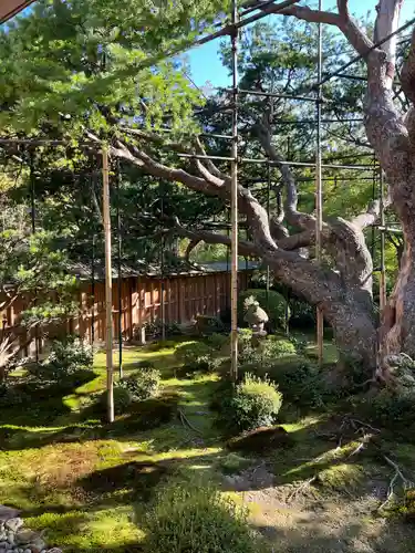 宝泉院(京都府)
