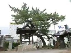 善立寺の建物その他