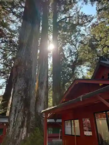日光二荒山神社(栃木県)