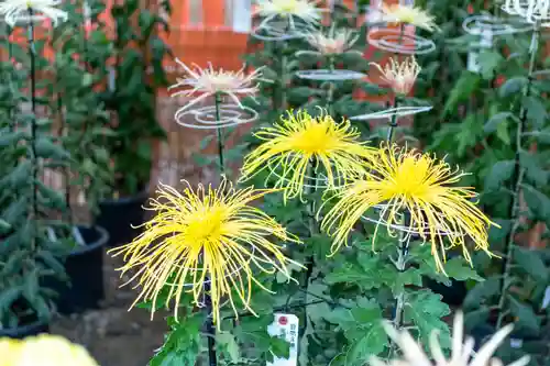 生島足島神社(長野県)