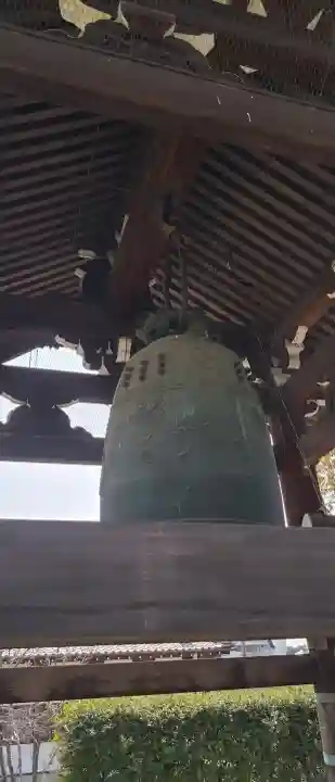 百萬遍知恩寺の{uncategorized: "未分類", other: "その他", undefined: "問題あり", building: "その他建物", grave: "お墓", sacred_gate: "鳥居", guardian: "狛犬", statue: "像", buddha: "仏像", history: "歴史", nature: "自然", garden: "庭園", animal: "動物", pagoda: "塔", temizu: "手水舎", mountain_gate: "山門・神門", sanctuary: "本殿・本堂", subordinate: "末社・摂社", art: "芸術", scenery: "景色", jizo: "地蔵", ema: "絵馬", goshuin: "御朱印", omikuji: "おみくじ", items: "授与品その他", amulet: "お守り", goshuincho: "御朱印帳", eats: "食事", festival: "お祭り", votive_dance: "神楽", shichigosan: "七五三参", wedding: "結婚式", experience: "体験その他", initially: "初詣", around: "周辺", anti_infection: "感染症対策"}