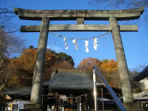 賀茂別雷神社の鳥居