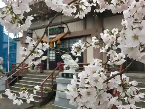 春日神社の本殿・本堂