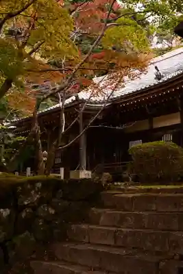 勝持寺（花の寺）(京都府)