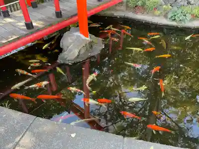 相模国総社六所神社(神奈川県)