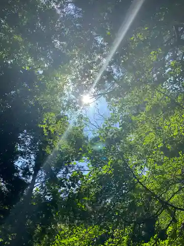 熊野神社の自然