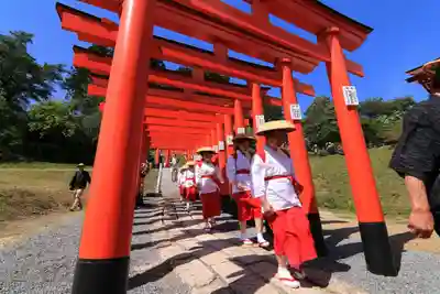高屋敷稲荷神社のお祭り