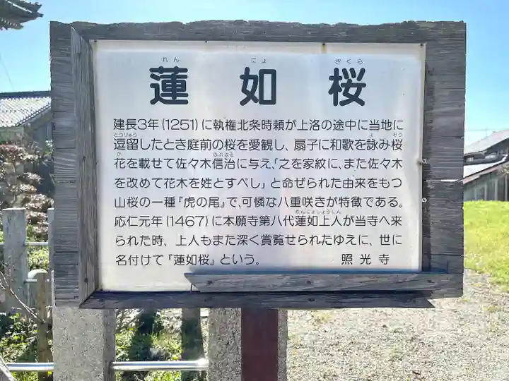 照光寺(滋賀県)