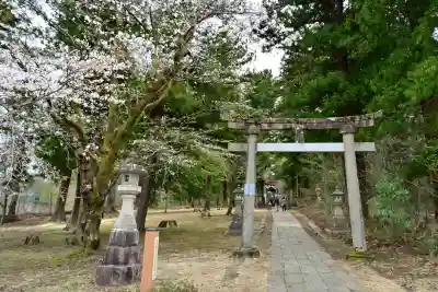 蒼柴神社(新潟県)