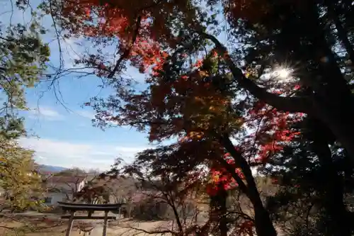 田村神社の景色