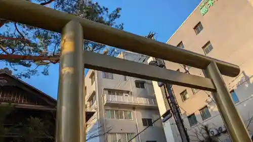 高知大神宮の鳥居