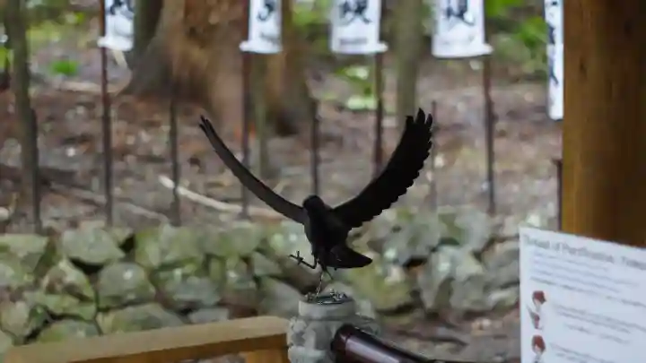 熊野本宮大社の{uncategorized: "未分類", other: "その他", undefined: "問題あり", building: "その他建物", grave: "お墓", sacred_gate: "鳥居", guardian: "狛犬", statue: "像", buddha: "仏像", history: "歴史", nature: "自然", garden: "庭園", animal: "動物", pagoda: "塔", temizu: "手水舎", mountain_gate: "山門・神門", sanctuary: "本殿・本堂", subordinate: "末社・摂社", art: "芸術", scenery: "景色", jizo: "地蔵", ema: "絵馬", goshuin: "御朱印", omikuji: "おみくじ", items: "授与品その他", amulet: "お守り", goshuincho: "御朱印帳", eats: "食事", festival: "お祭り", votive_dance: "神楽", shichigosan: "七五三参", wedding: "結婚式", experience: "体験その他", initially: "初詣", around: "周辺", anti_infection: "感染症対策"}