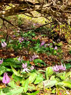 三春大神宮(福島県)